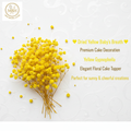 Dried Yellow Baby's Breath – Floral Cake Decoration