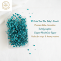 Dried Teal Blue Baby's Breath – Floral Cake Decoration