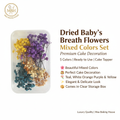 Dried Baby's Breath Flowers - Mixed Colors | Cake Decoration