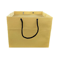Cake & Cupcake Paper Bags 11x11